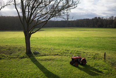 Scenic view of grassy field against sky