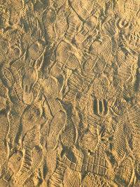 High angle view of footprints on sand