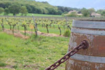 Barbed wire fence on field