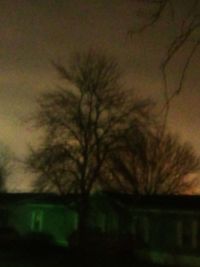 Defocused image of silhouette tree against sky at night