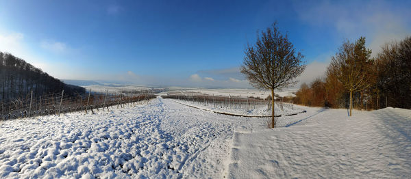 Scenic view of snow covered field against sky