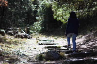 Rear view of woman walking on tree