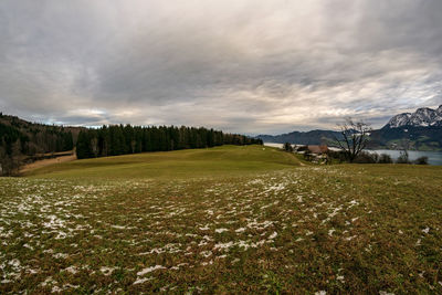 Scenic view of landscape against sky