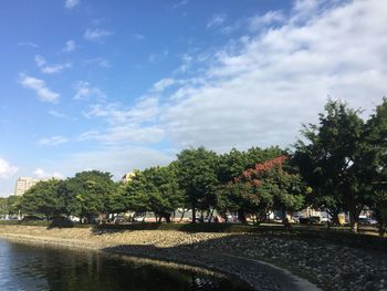 Trees by lake against sky