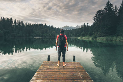 Rear view of hiker standing on jetty while looking at lake against trees in forest