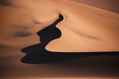 Sand dune in desert