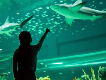 Woman pointing towards shark in aquarium