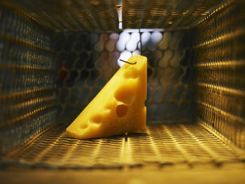 Close-up of cheese in cage