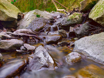 Stream flowing through rocks in forest