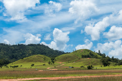 Scenic view of landscape against clear sky