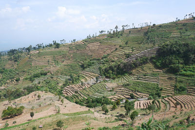 High angle view of agricultural field against sky