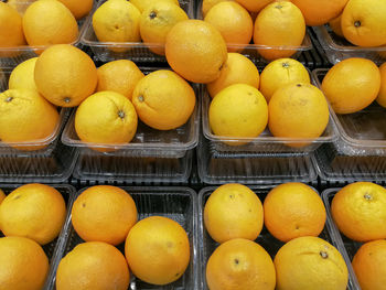 Various fruits for sale in market