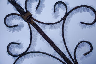 Close-up of snow covered field