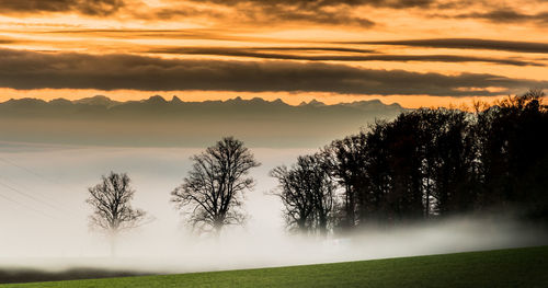 Idyllic view of landscape covered with fog during sunset