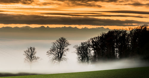 Scenic view of landscape against cloudy sky