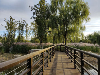 Wooden footbridge along trees and plants