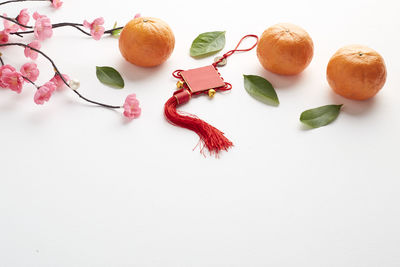 High angle view of fruits and leaves on white background