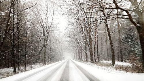 Snow covered road amidst trees in forest