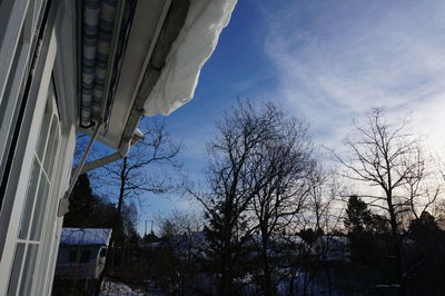 Low angle view of trees against sky during winter