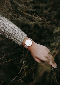 Close-up of human arm with a wristwatch against blurred background