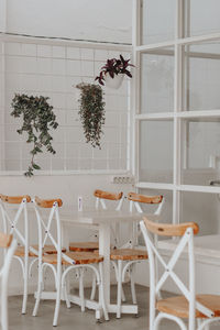 Potted plants on table against wall at home