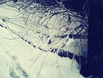 Scenic view of snow covered landscape