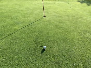 High angle view of golf ball on field