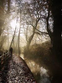 Rear view of silhouette man standing by river in forest