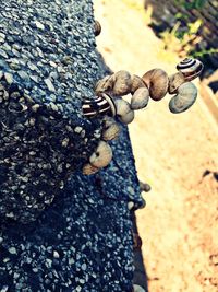 Close-up of rusty chain