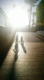 Shadow of people on road