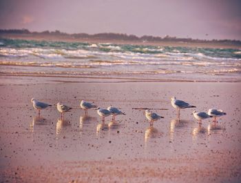 View of sea at beach