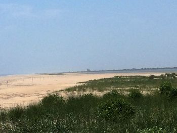 Scenic view of field against clear sky