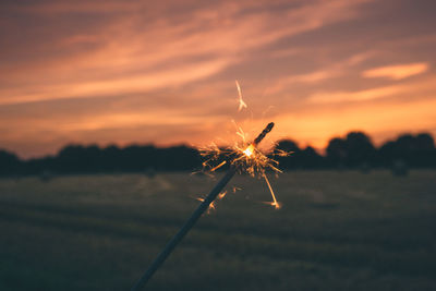 Close-up of sparkler on field during sunset
