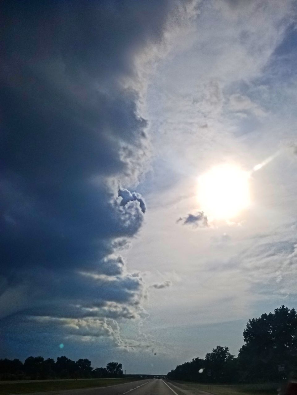 LOW ANGLE VIEW OF TREES AGAINST SKY DURING SUNSET