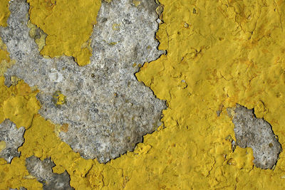 Full frame shot of white surface