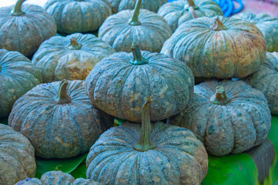 High angle view of pumpkins in market