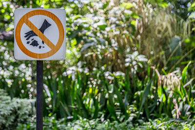 Close-up of road sign on field