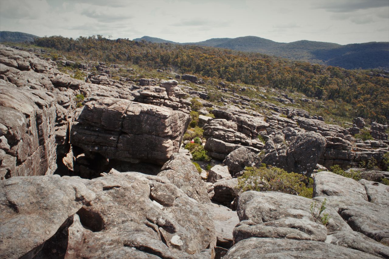 The Pinnacle, Grampians