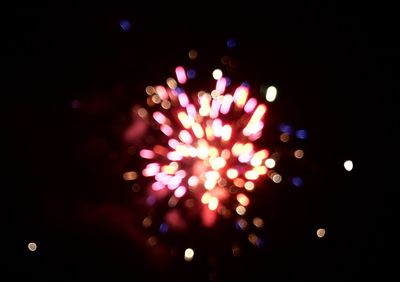 Close-up of illuminated flowers