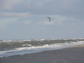 Scenic view of beach