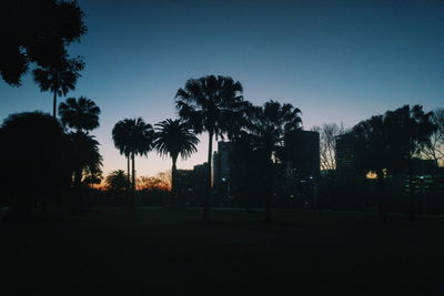 Silhouette palm trees against clear sky during sunset