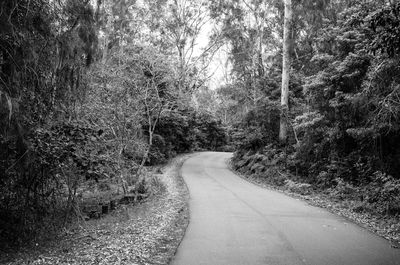 Road amidst trees in forest