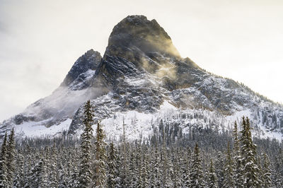 Moody mountain peak with snow covered trees