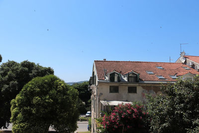 Trees and buildings against blue sky