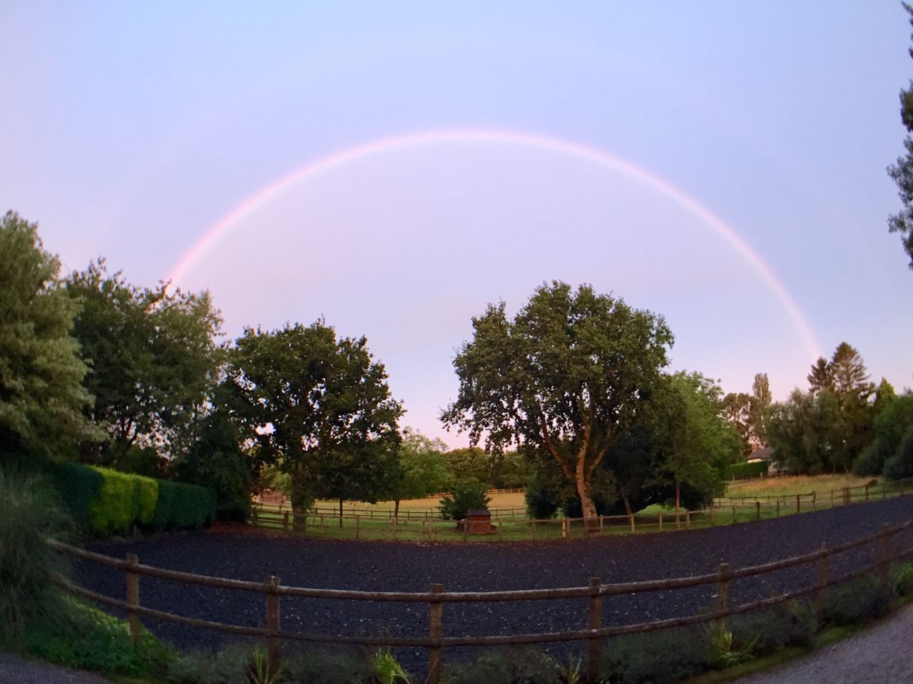 tree, sky, rainbow, landscape, nature, beauty in nature, tranquility, tranquil scene, scenics, field, green color, growth, grass, outdoors, idyllic, no people, multi colored, day, blue, non-urban scene