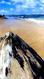 Close-up of driftwood on beach against sky