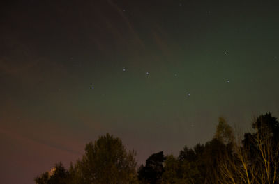 Low angle view of trees against sky