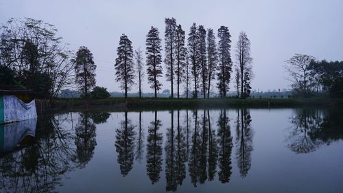 Reflection of trees in lake against sky