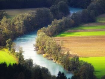 Scenic view of river in forest against sky