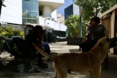 Man and dog at park